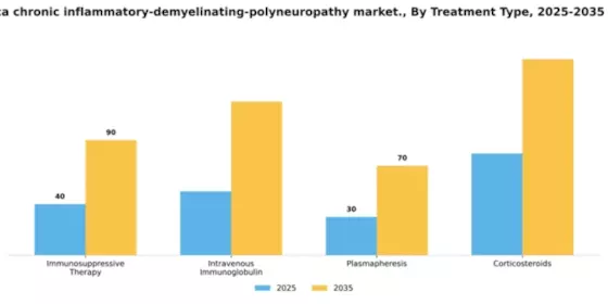 South America Chronic Inflammatory Demyelinating Polyneuropathy Market Segment Image 3