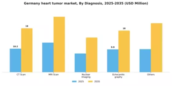 Germany Heart Tumor Market Segment Image 0