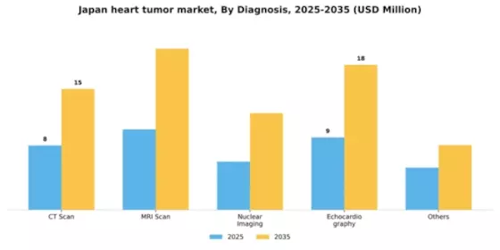 Japan Heart Tumor Market Segment Image 0