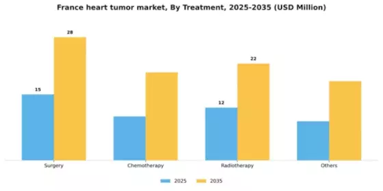 France Heart Tumor Market Segment Image 1