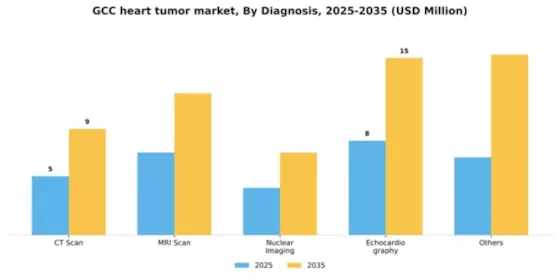 GCC Heart Tumor Market Segment Image 0