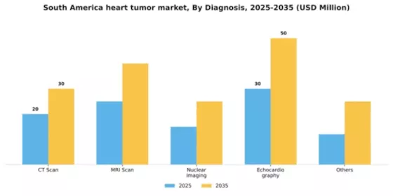 South America Heart Tumor Market Segment Image 0
