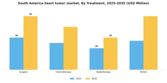 South America Heart Tumor Market Segment Image 1