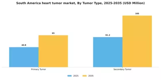 South America Heart Tumor Market Segment Image 2