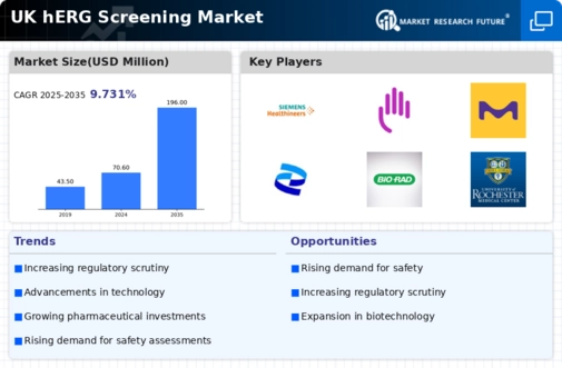 UK hERG Screening Market Infographic