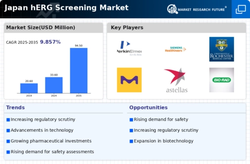 Japan hERG Screening Market Infographic