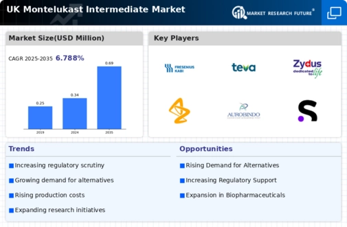 UK Montelukast Intermediate Market Infographic