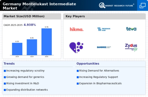 Germany Montelukast Intermediate Market Infographic
