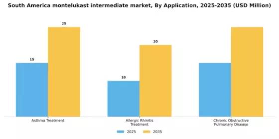 South America Montelukast Intermediate Market Segment Image 0