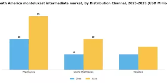 South America Montelukast Intermediate Market Segment Image 1