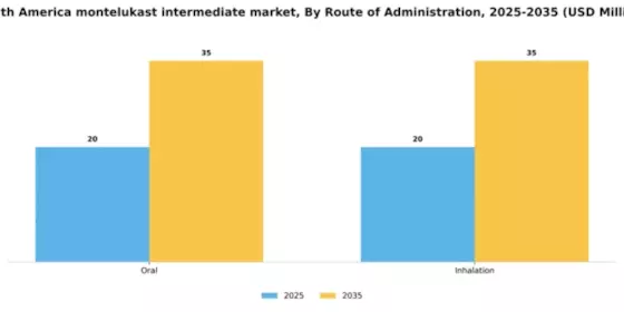 South America Montelukast Intermediate Market Segment Image 3