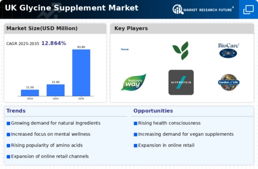 UK Glycine Supplement Market Infographic
