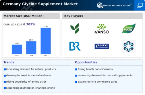 Germany Glycine Supplement Market Infographic