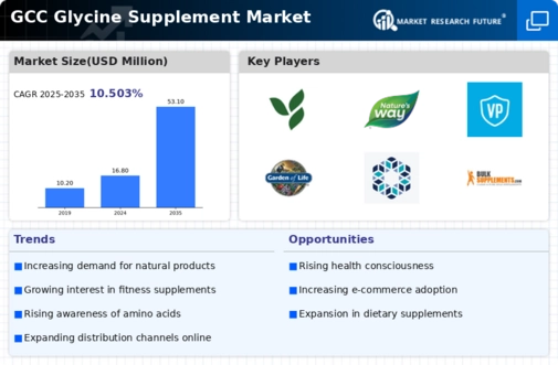 GCC Glycine Supplement Market Infographic