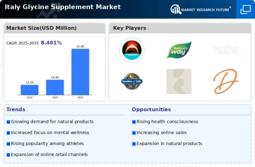 Italy Glycine Supplement Market Infographic