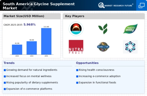 South America Glycine Supplement Market Infographic