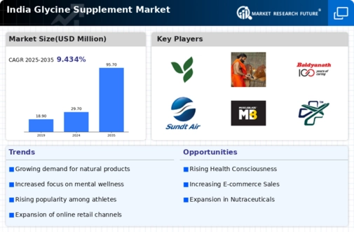 India Glycine Supplement Market Infographic