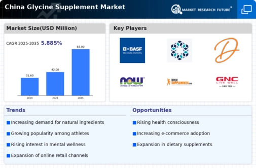 China Glycine Supplement Market Infographic