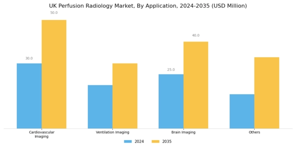 UK Perfusion Radiology Market Segment Image 0