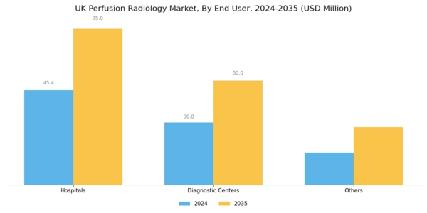 UK Perfusion Radiology Market Segment Image 1