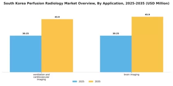 South Korea Perfusion Radiology Market Segment Image 0