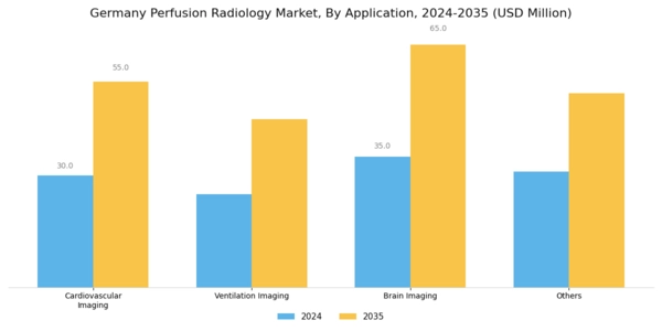 Germany Perfusion Radiology Market Segment Image 0