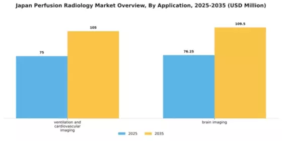 Japan Perfusion Radiology Market Segment Image 0