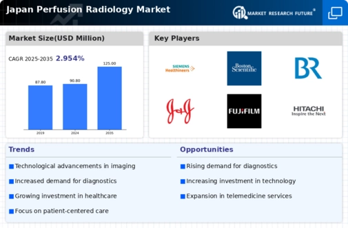 Japan Perfusion Radiology Market Infographic