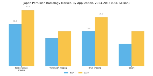 Japan Perfusion Radiology Market Segment Image 0