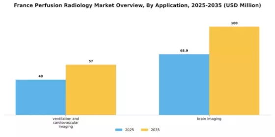 France Perfusion Radiology Market Segment Image 0