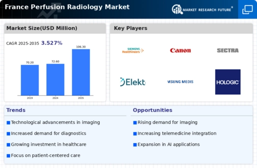France Perfusion Radiology Market Infographic