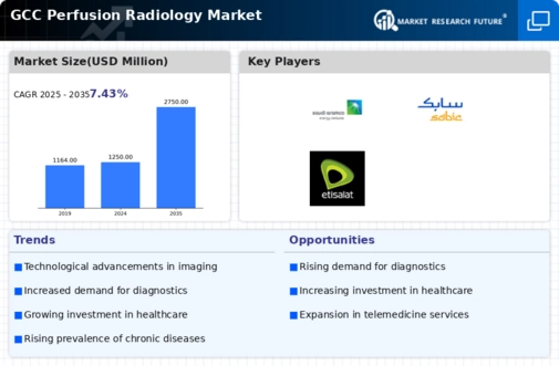GCC Perfusion Radiology Market Infographic
