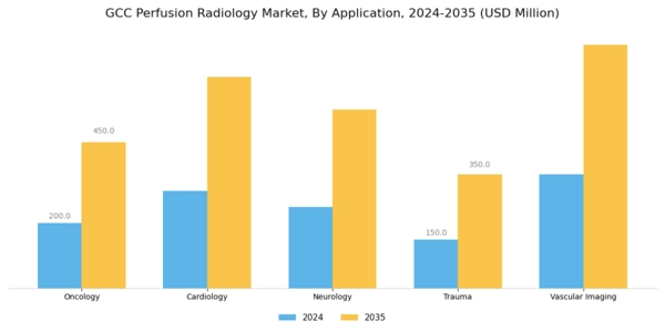 GCC Perfusion Radiology Market Segment Image 0