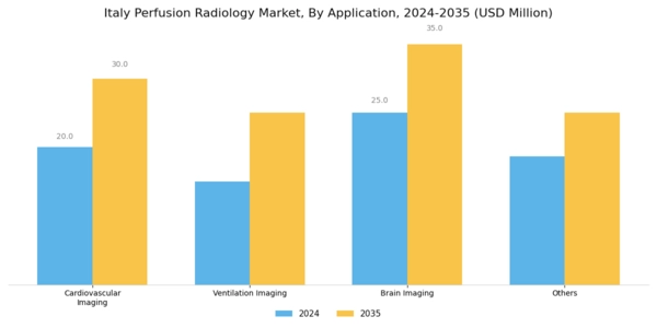 Italy Perfusion Radiology Market Segment Image 0