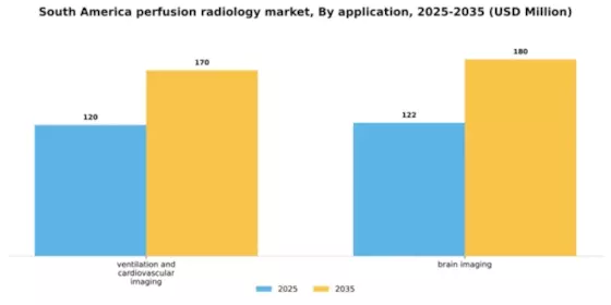 South America Perfusion Radiology Market Segment Image 0