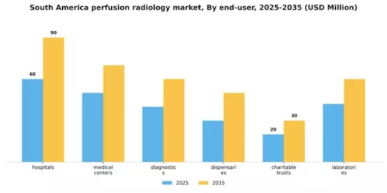 South America Perfusion Radiology Market Segment Image 1