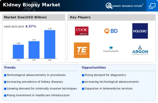Kidney Biopsy Market Infographic