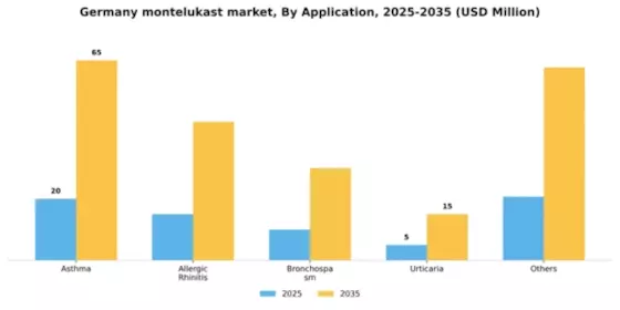 Germany Montelukast API Market Segment Image 0