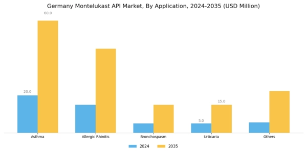 Germany Montelukast API Market Segment Image 0