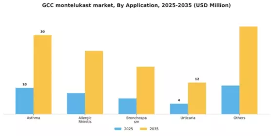 GCC Montelukast API Market Segment Image 0