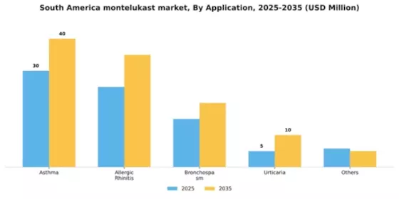 South America Montelukast API Market Segment Image 0