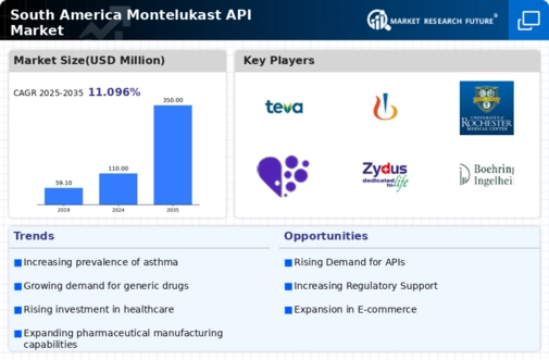 South America Montelukast API Market Infographic