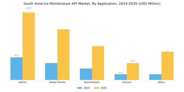 South America Montelukast API Market Segment Image 0