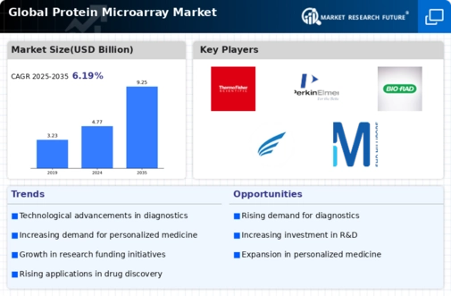Protein Microarray Market Infographic