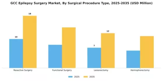 GCC Epilepsy Surgery Market Segment Image 3