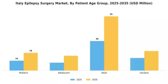 Italy Epilepsy Surgery Market Segment Image 1