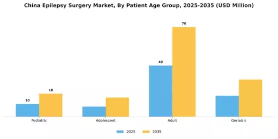 China Epilepsy Surgery Market Segment Image 2