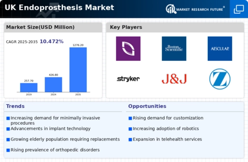 UK Endoprosthesis Market Infographic