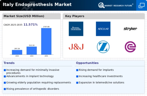 Italy Endoprosthesis Market Infographic