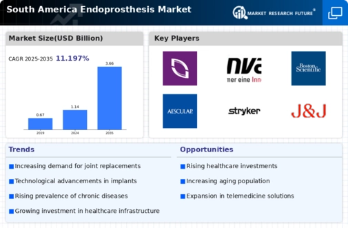 South America Endoprosthesis Market Infographic